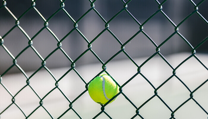 Chain Link Fence Sports Fence