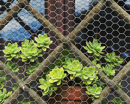 Plant Support Hexagonal Wire Mesh