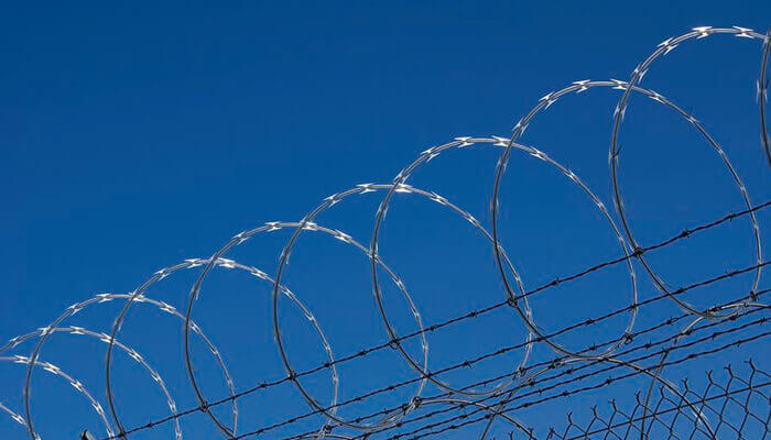 Wire mesh fence - ARTISTIC -- IN ROLLS - SJZ SHANZHENG CO., LTD
