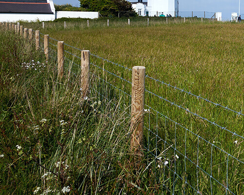 Cattle Fence for Marking Bundaries