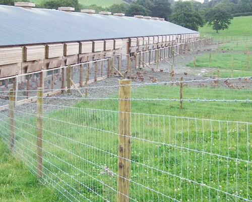 Cattle Fence for Preventing Predators
