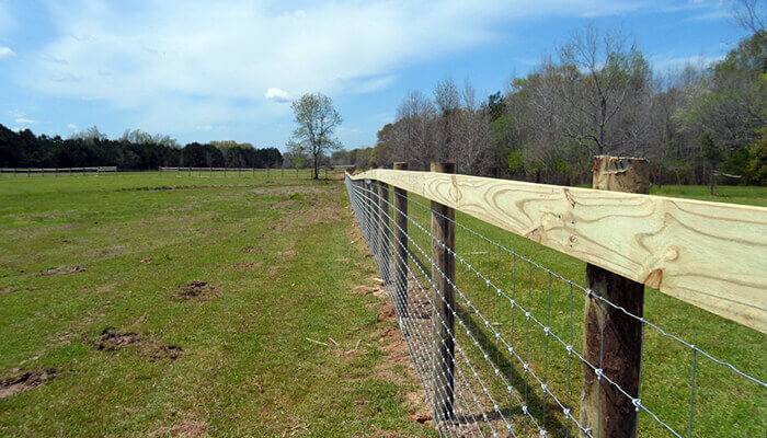 Shengsen Metal Cattle Fence Roll